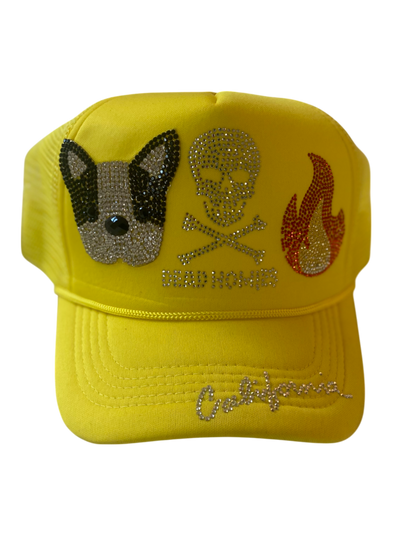 CUSTOM DH TRUCKER
